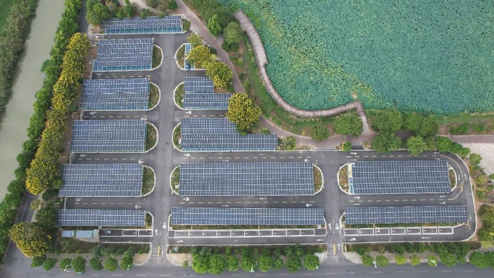 赋能新质生产力：“光伏蓝”点亮“生态绿”