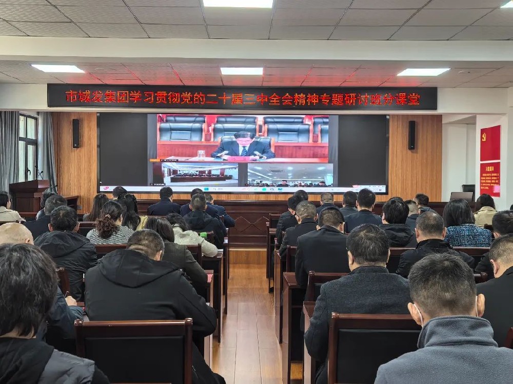 fun88集团开展学习贯彻党的二十届三中全会精神专题研讨班分课堂活动