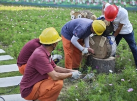 “变废为景”！ 园林废弃物摇身成为“微景观”